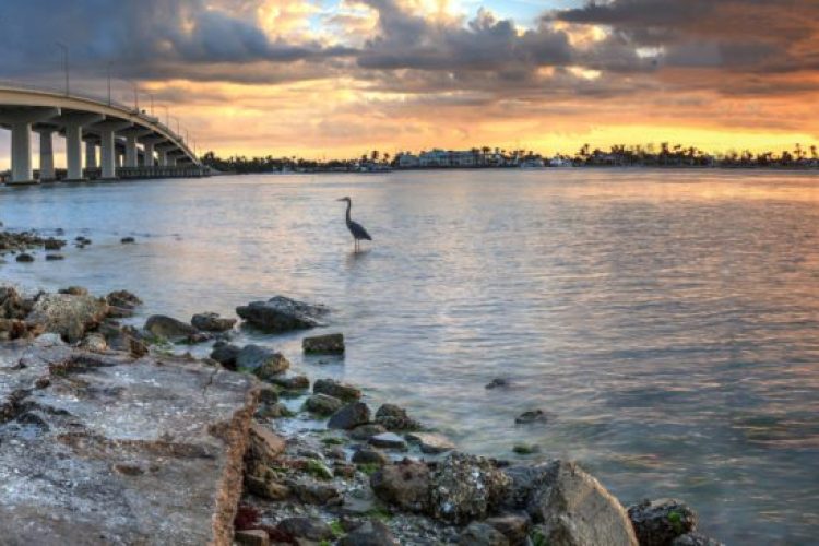 Abogado De Accidentes De Auto En Marco Island
